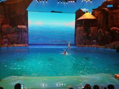 -芜湖新华联大白鲸海洋公园