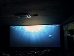 -纵横国际影城杜比全景声巨幕(天安云谷店)