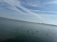 -悦海公园