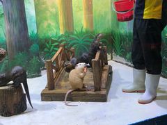 -华夏文旅海洋公园