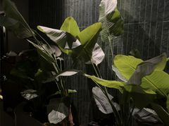-涟LIAN·泰式按摩·MASSAGE·SPA(华强北店)