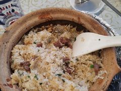 -百利鸽王(紫薇路店)