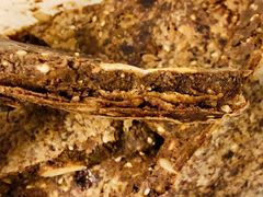 精品糖饼-马凯餐厅(地安门店)