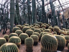 -南山植物园