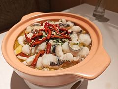 -Aqua Oasis 水天堂(相城天虹商场店)