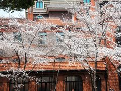 -上海瑞金洲际酒店