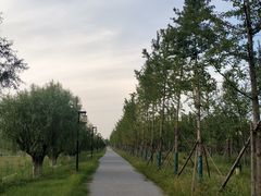 -汉长安城未央宫国家考古遗址公园