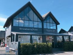 -Strawberry Fare