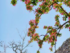 -北京明城墙遗址公园