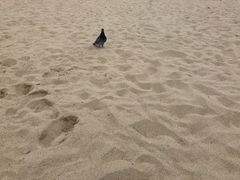 -海云台海滩