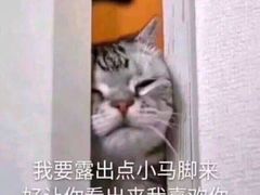 -猫爷的腔调·黔小馆(交大医学住宅区店)