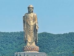 -中原大佛景区