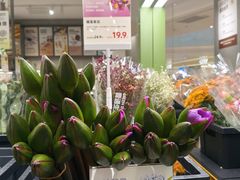 -鹿岛生活(熙地港店)