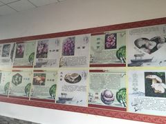 -双喜农庄·菌香园(安居家园店)