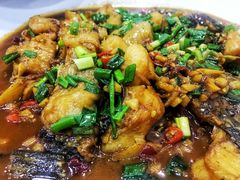 -全乐鱼馆·淳牌有机鱼直营店