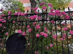 -上海市控江中学