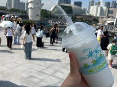 -鱼尾狮公园