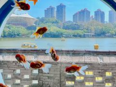 -珠海圆明新园