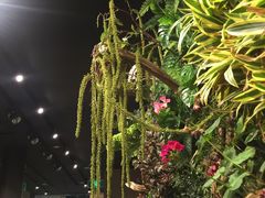 -Seesaw Coffee(环贸iapm店)