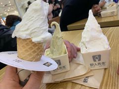 -野人先生Gelato(上海长宁龙之梦店)