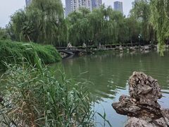 -西苑公园