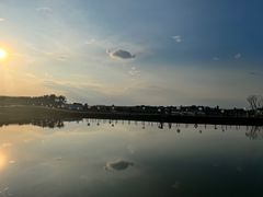 -空港花田景区