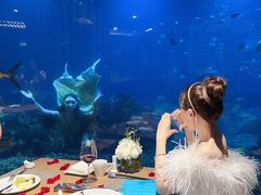 -涛·海底餐厅·美人鱼·自助餐·海底隧道(三亚海棠湾洲际度假酒店)