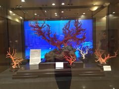 iphone_upload_pic-绮丽珊瑚(台北101旗舰门市店)