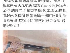 盛京一禾-盛京一禾