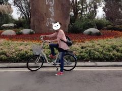 -白鹭湾湿地公园