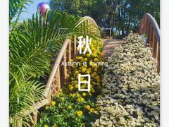 -沙湖公园