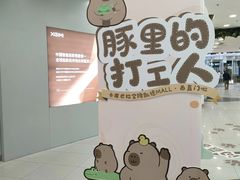 -凯德MALL(西直门店)