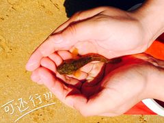 -青岛银沙滩