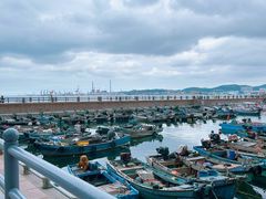 -悦海公园