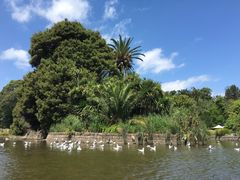 -墨尔本皇家植物园