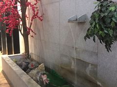 -丽池宫韩式汗蒸会馆(华灯坊店)