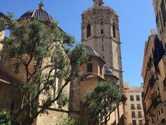 -瓦伦西亚大教堂