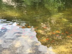 -黑龙潭风景区