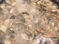 -拾下卜卜贝•海鲜火锅
