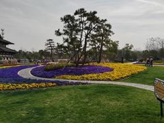 -狼山风景名胜区