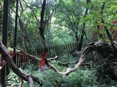 -玉女潭景区