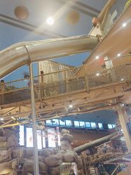 -卡通尼·Safari非洲探索乐园·生日会(金桥国际商业广场店)