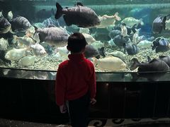 -成都浩海立方海洋公园