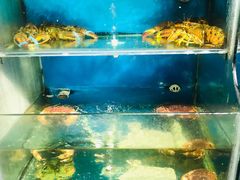 水产区-欣旺·迎宾楼·百年无锡菜