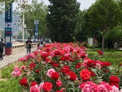 -王府井(地铁站)
