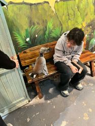 -Zoolung Zoolung动物主题公园(海信广场店)