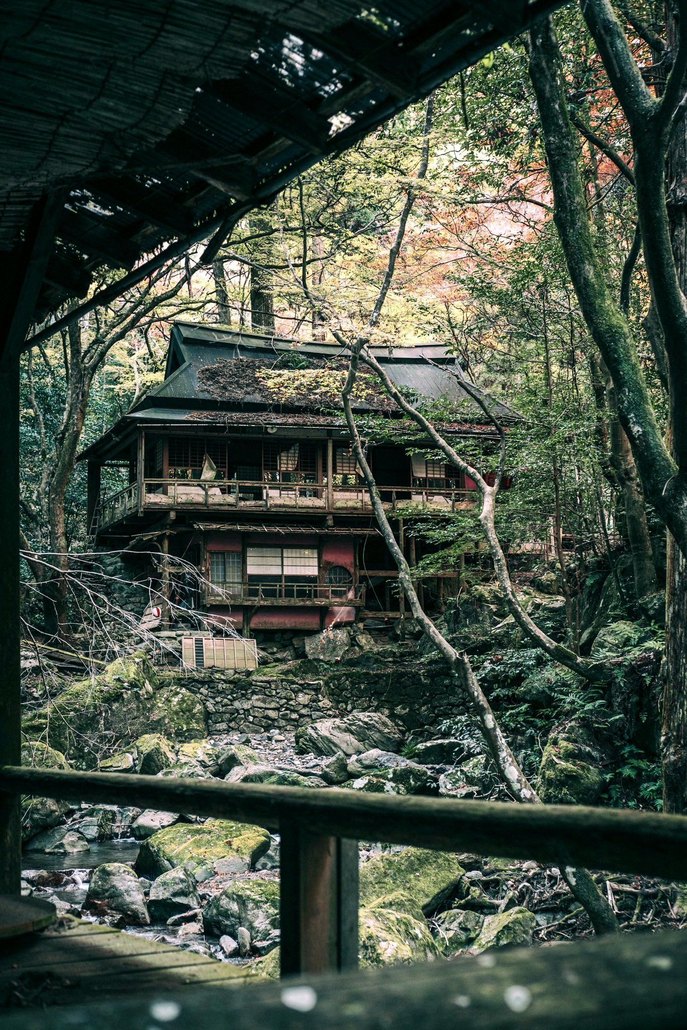 被森林环抱的古老木屋,诉说着岁月的痕迹