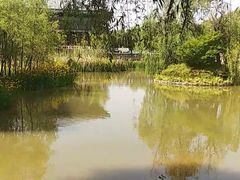 -鹦鹉寺公园