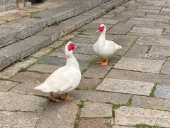 -茅山东方盐湖城景区