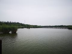 -西青郊野公园